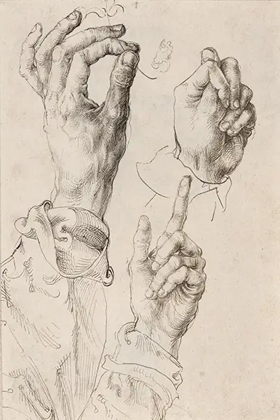 Studies of Durer's Left Hand Albrecht Durer